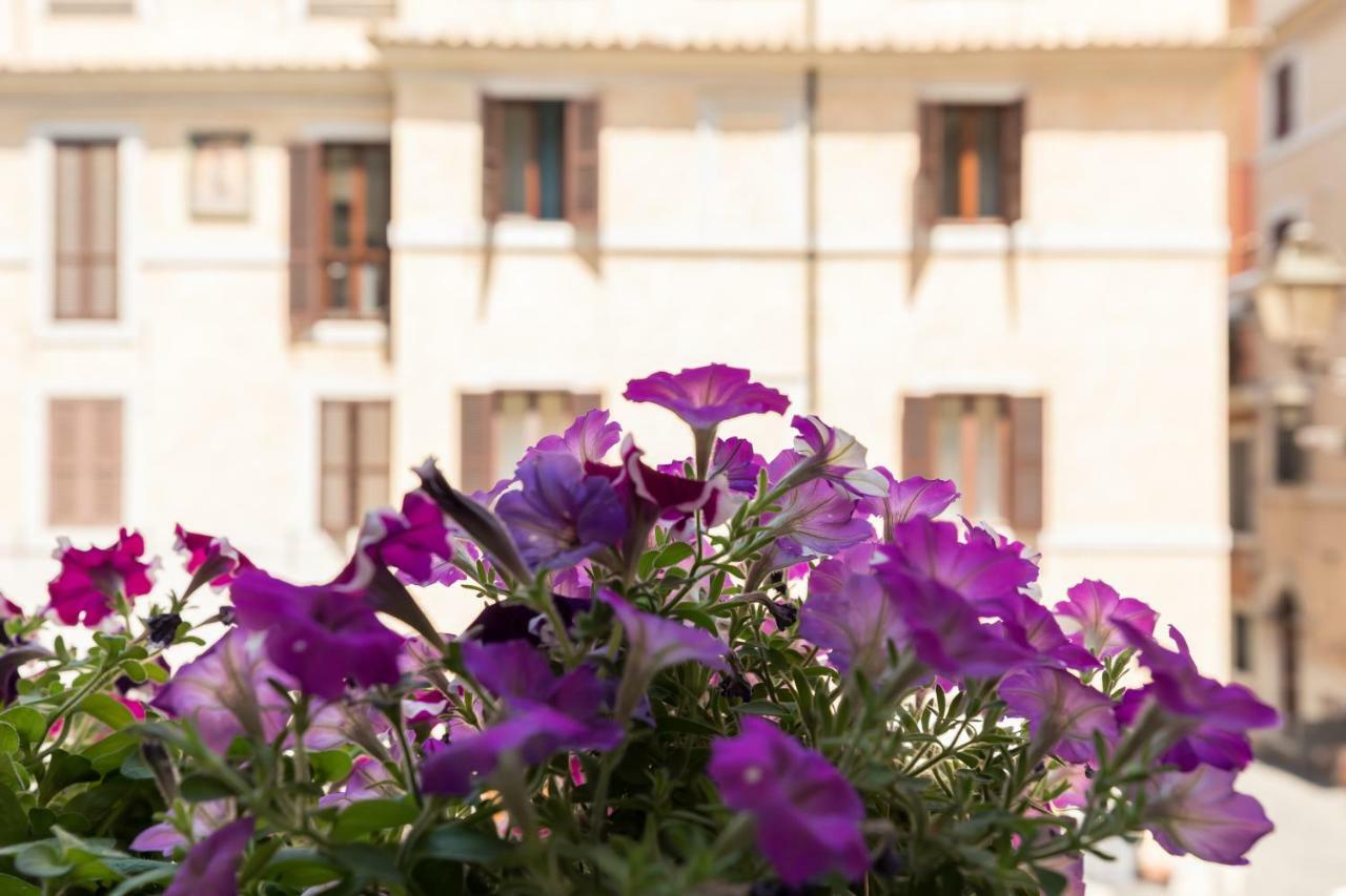 Buongiorno Colosseo Roma Dış mekan fotoğraf